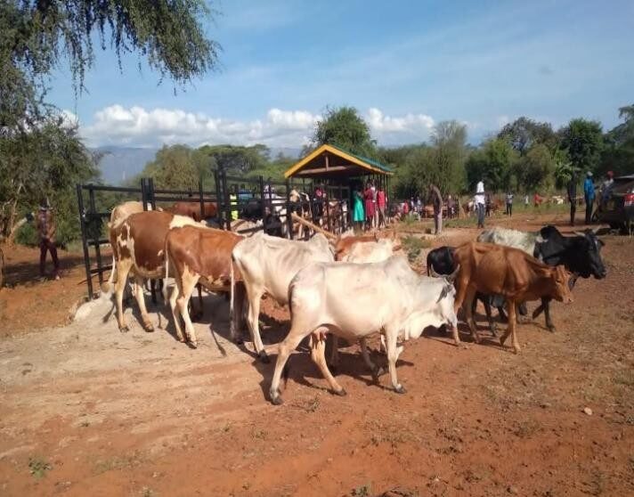 Kuikui cattle dip constructed in 2022